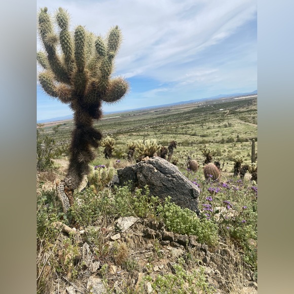 Meet your Posher, Hmkenn! - Picture 2 of 3